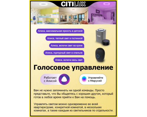 Оформить заказ Накладной светильник Citilux CL732A800G| VIVID-LIGHT.RU