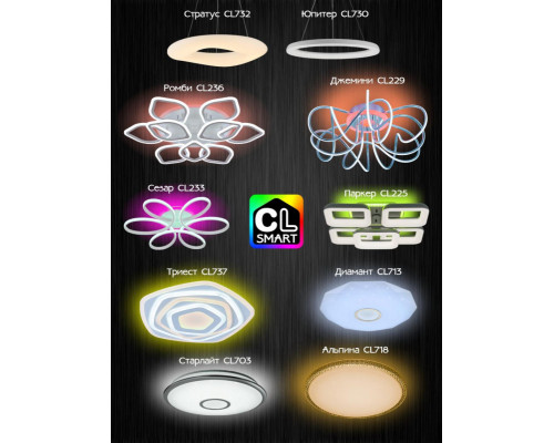 Оформить заказ Накладной светильник Citilux CL732A800G| VIVID-LIGHT.RU