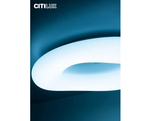 Оформить заказ Накладной светильник Citilux CL732A800G| VIVID-LIGHT.RU