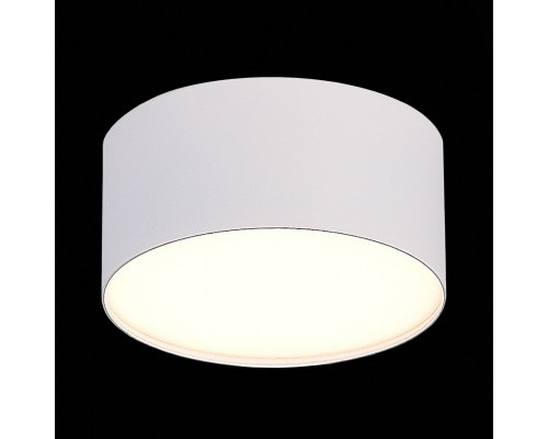 Оформить заказ Накладной светильник ST-Luce ST606.532.12| VIVID-LIGHT.RU