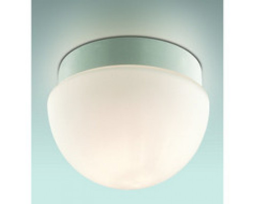 Сделать заказ Накладной светильник Odeon Light 2443/1B| VIVID-LIGHT.RU