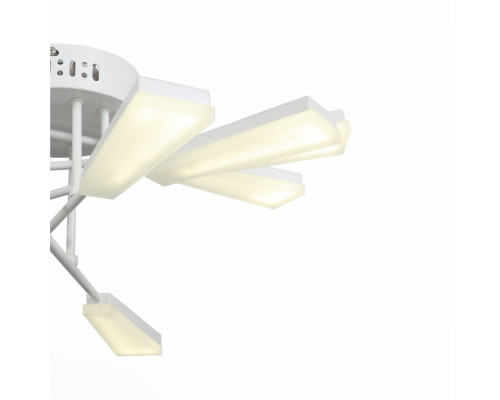 Заказать Накладной светильник ST-Luce SL935.502.10| VIVID-LIGHT.RU