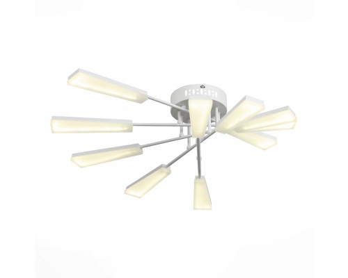 Заказать Накладной светильник ST-Luce SL935.502.10| VIVID-LIGHT.RU