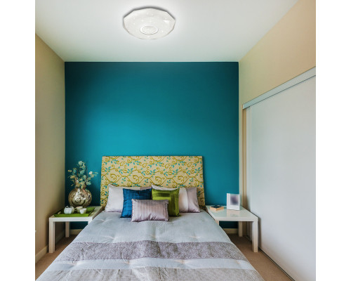 Сделать заказ Накладной светильник Sonex 2057/DL| VIVID-LIGHT.RU