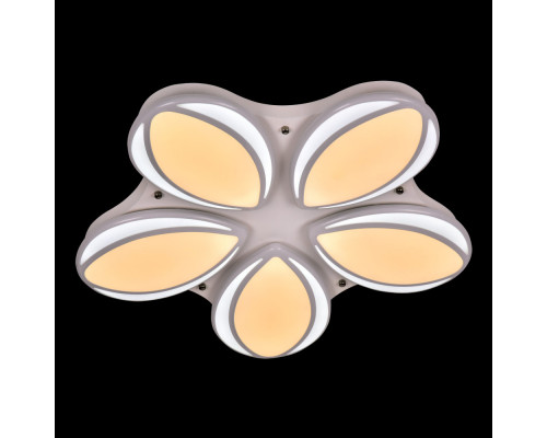 Купить Накладной светильник Adilux 1012| VIVID-LIGHT.RU