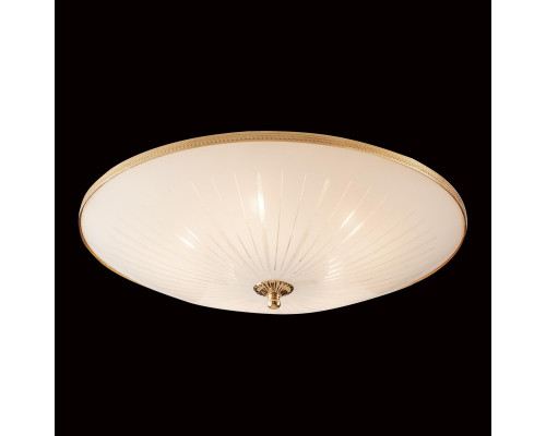 Купить Накладной светильник Citilux CL912521| VIVID-LIGHT.RU