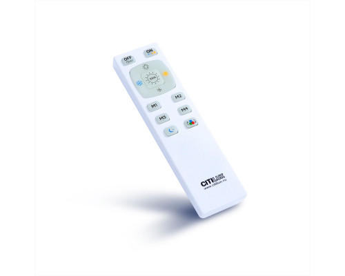 Заказать Накладной светильник Citilux CL718K50RGB| VIVID-LIGHT.RU