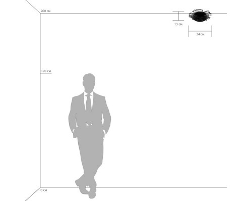 Купить Накладной светильник Lightstar 601030| VIVID-LIGHT.RU