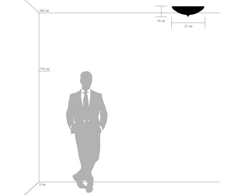 Купить Накладной светильник Lightstar 820264| VIVID-LIGHT.RU