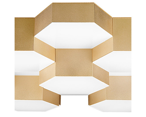 Заказать Накладной светильник Lightstar 750161| VIVID-LIGHT.RU