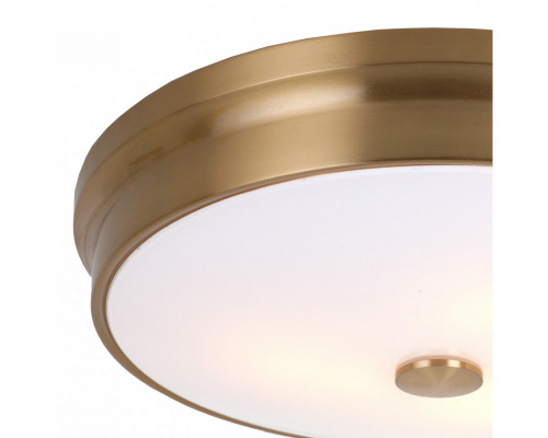 Оформить заказ Накладной светильник Favourite 2375-3C| VIVID-LIGHT.RU