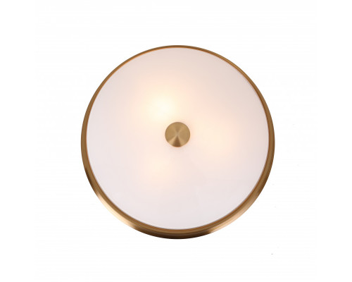 Оформить заказ Накладной светильник Favourite 2375-3C| VIVID-LIGHT.RU