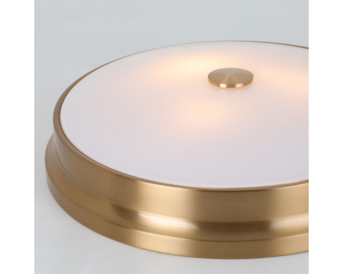 Оформить заказ Накладной светильник Favourite 2375-3C| VIVID-LIGHT.RU