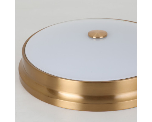 Оформить заказ Накладной светильник Favourite 2375-3C| VIVID-LIGHT.RU