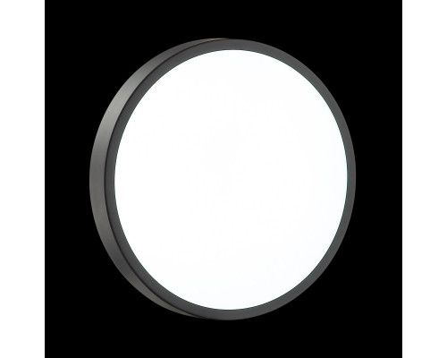 Заказать Накладной светильник Sonex 3012/AL| VIVID-LIGHT.RU