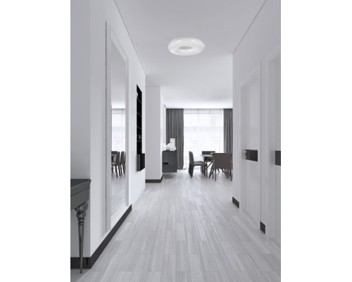 Оформить заказ Накладной светильник SYNEIL 1203-LED32CL| VIVID-LIGHT.RU