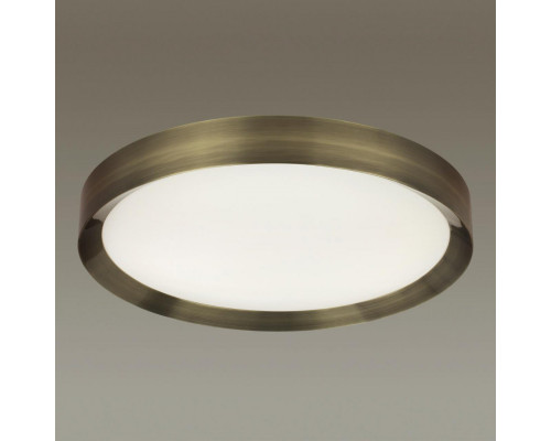 Сделать заказ Накладной светильник Odeon Light 4948/60CL| VIVID-LIGHT.RU