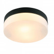 Накладной светильник ARTE Lamp A6047PL-2BK