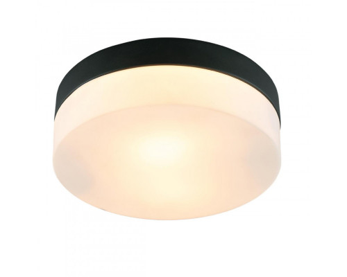 Заказать Накладной светильник ARTE Lamp A6047PL-2BK| VIVID-LIGHT.RU