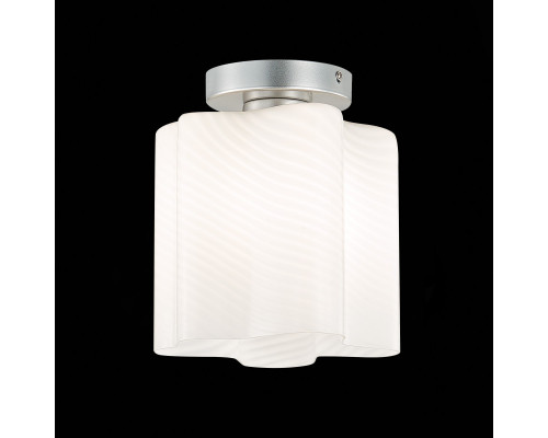 Оформить заказ Накладной светильник ST-Luce SL117.502.01| VIVID-LIGHT.RU