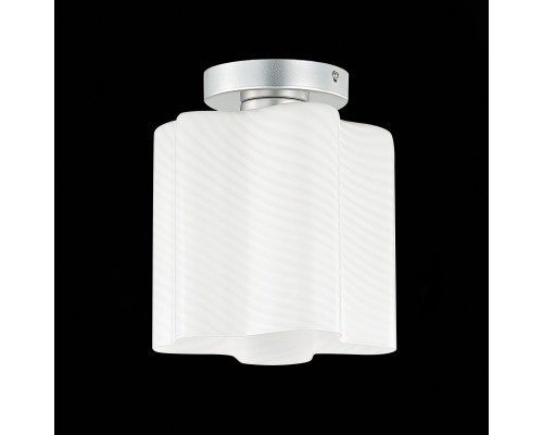 Оформить заказ Накладной светильник ST-Luce SL117.502.01| VIVID-LIGHT.RU