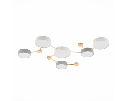 Оформить заказ Накладной светильник Evoluce SLE600102-06| VIVID-LIGHT.RU