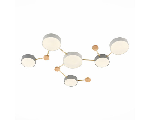 Оформить заказ Накладной светильник Evoluce SLE600102-06| VIVID-LIGHT.RU