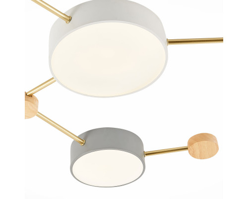 Оформить заказ Накладной светильник Evoluce SLE600102-06| VIVID-LIGHT.RU