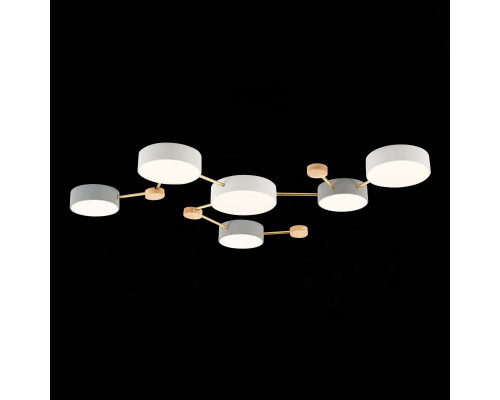 Оформить заказ Накладной светильник Evoluce SLE600102-06| VIVID-LIGHT.RU