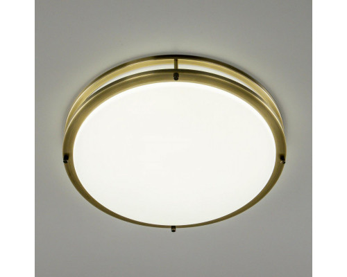 Сделать заказ Накладной светильник Citilux CL709503N| VIVID-LIGHT.RU