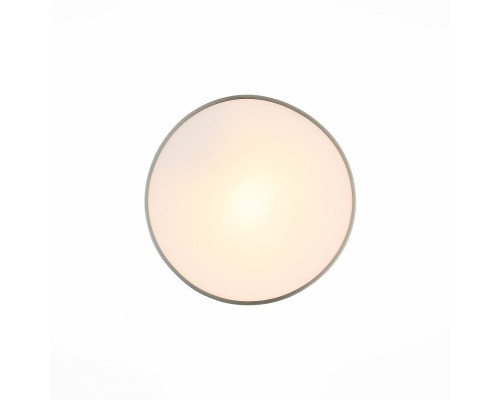 Купить Накладной светильник ST-Luce SL468.502.01| VIVID-LIGHT.RU