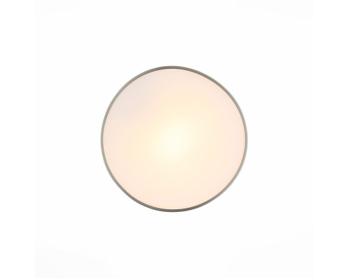 Купить Накладной светильник ST-Luce SL468.502.01| VIVID-LIGHT.RU