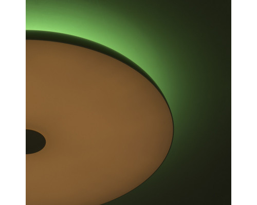 Сделать заказ Накладной светильник DeMarkt 660012801| VIVID-LIGHT.RU