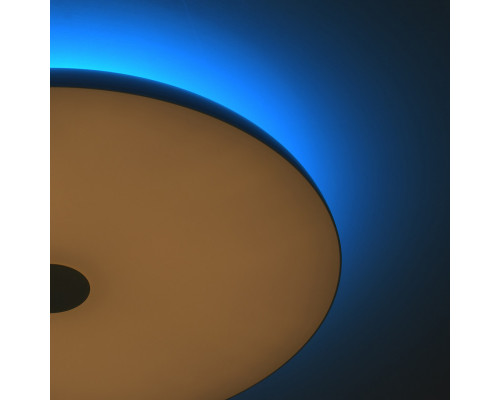 Сделать заказ Накладной светильник DeMarkt 660012801| VIVID-LIGHT.RU