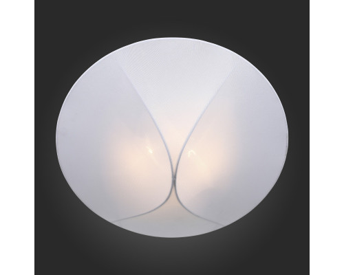 Купить Накладной светильник ST-Luce SL360.552.02| VIVID-LIGHT.RU