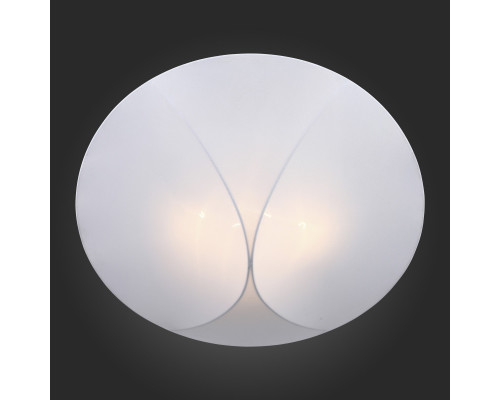 Купить Накладной светильник ST-Luce SL360.552.04| VIVID-LIGHT.RU