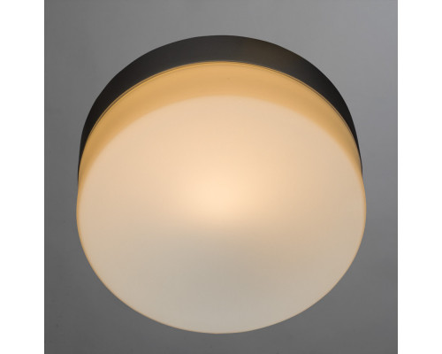 Сделать заказ Накладной светильник ARTE Lamp A3211PL-1SI| VIVID-LIGHT.RU