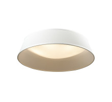 Накладной светильник Odeon Light 4157/5C