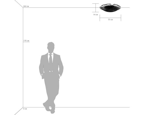 Оформить заказ Накладной светильник Lightstar 601053| VIVID-LIGHT.RU