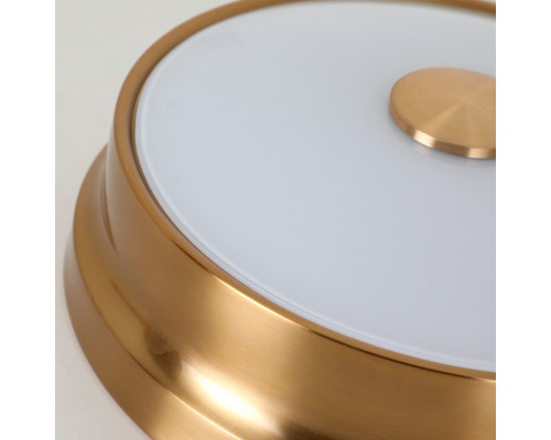 Заказать Накладной светильник Favourite 2375-2C| VIVID-LIGHT.RU