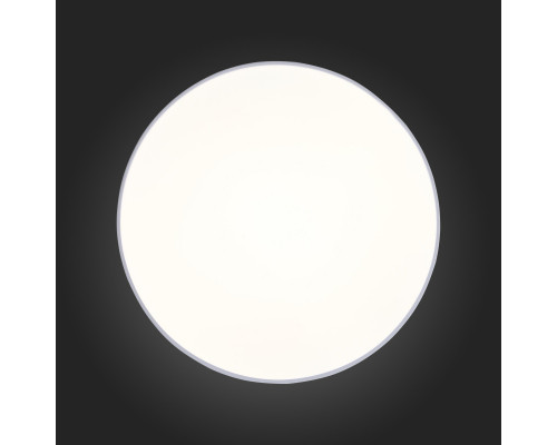 Сделать заказ Накладной светильник ST-Luce SL417.502.01| VIVID-LIGHT.RU