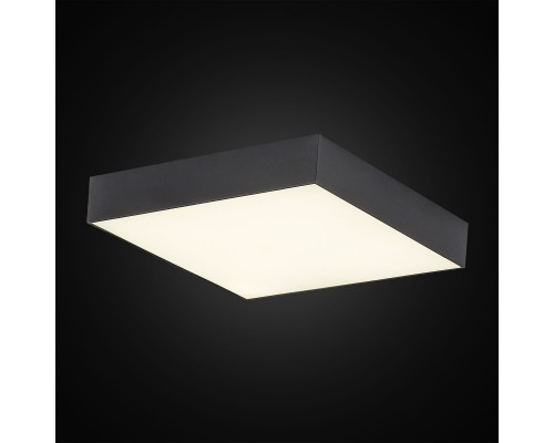 Сделать заказ Накладной светильник Citilux CL712X242N| VIVID-LIGHT.RU