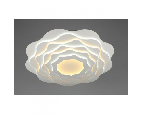 Заказать Накладной светильник Omnilux OML-07907-344| VIVID-LIGHT.RU