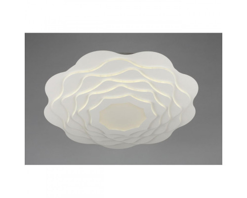 Заказать Накладной светильник Omnilux OML-07907-344| VIVID-LIGHT.RU