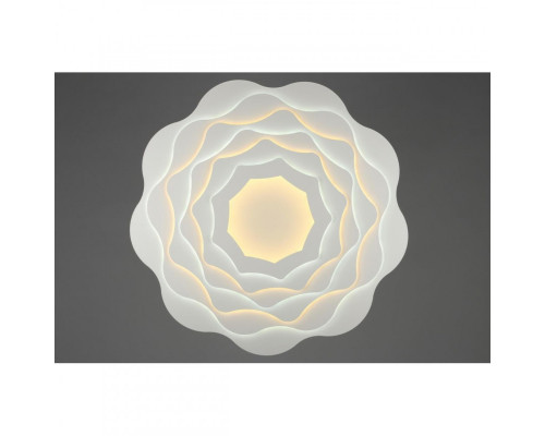 Заказать Накладной светильник Omnilux OML-07907-344| VIVID-LIGHT.RU