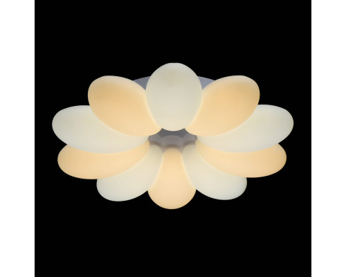 Оформить заказ Накладной светильник DeMarkt 424012301| VIVID-LIGHT.RU