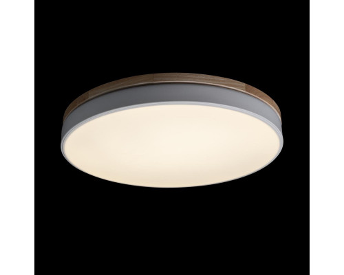 Сделать заказ Накладной светильник LOFT IT 10001/36 White| VIVID-LIGHT.RU