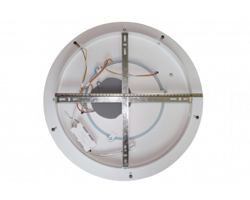 Оформить заказ Накладной светильник Natali Kovaltseva LED LAMPS 81098| VIVID-LIGHT.RU