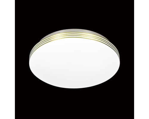 Оформить заказ Накладной светильник Sonex 3048/CL| VIVID-LIGHT.RU