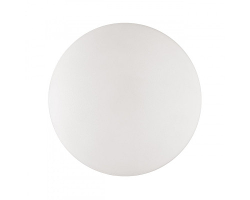 Купить Накладной светильник Sonex 3050/CL| VIVID-LIGHT.RU